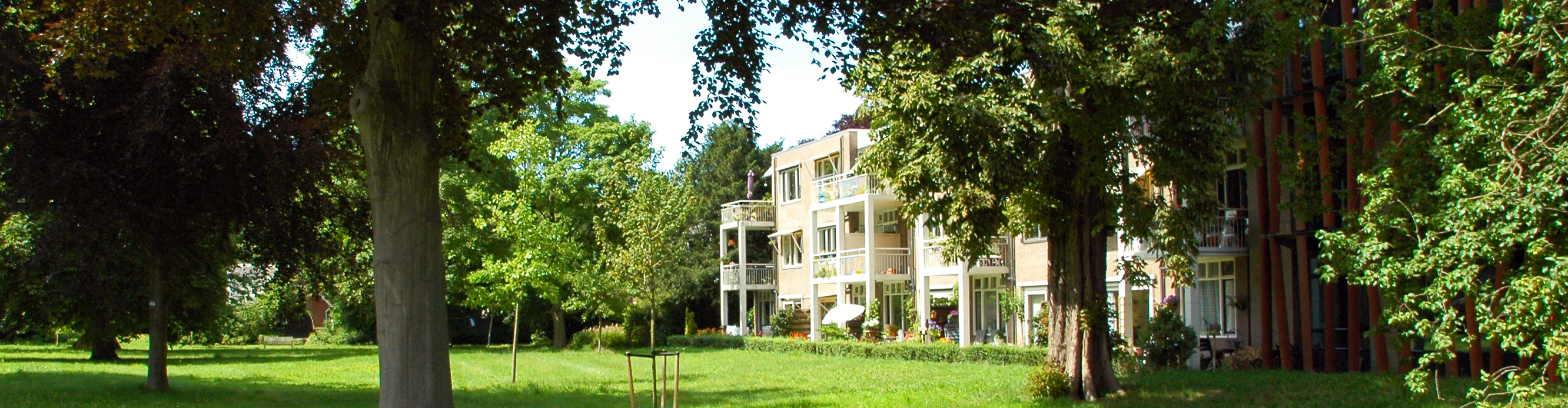 Den Hout